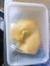 佳农泰国冷冻 金枕榴莲肉 单盒净重250g*5盒 生鲜水果 实拍图