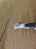 欢宠网猫玩具猫咪1.8m逗猫棒长杆羽毛铃铛自嗨解闷神器猫猫小猫幼猫宠物 实拍图