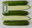 【水果菜】荷兰水果黄瓜约400g 实拍图