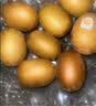 佳沛（zespri）新西兰 金奇异果特大果15粒134-146g猕猴桃水果礼盒 实拍图