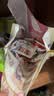 西麦缤纷水果燕麦片冷泡630g营养早餐谷物代餐酥脆零食独立装 实拍图