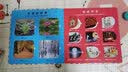 婴儿第一套启蒙翻翻书·认知 双语对照 袋鼠妈妈童书 早教启蒙 实拍图