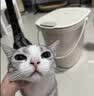 meoof觅凹燥燥桶真空储粮桶猫粮存储宠物狗粮密封抽湿防虫防潮桶15L 实拍图