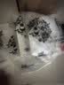 3M防尘口罩KN95防雾霾防PM2.5防工业粉尘飞沫颗粒物花粉9501V+耳戴式有阀15只 实拍图