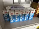 光明纯牛奶200ml*24盒3.2g乳蛋白营养早餐奶牛奶整箱送礼京东自营 实拍图