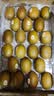 佳沛（zespri）新西兰金奇异果22粒巨大原箱146-175g猕猴桃水果礼盒 实拍图