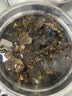 双塔东北黑木耳100g干木耳特产小碗耳火烧烤锅食材南北干货粉丝粉条 实拍图