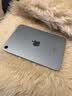 Apple/苹果 iPad mini (A17 Pro) 8.3英寸 平板电脑(128G WLAN版mini7MXN73CHA)蓝色 实拍图
