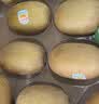 佳沛（zespri）新西兰金奇异果10粒巨大果146-175g猕猴桃水果礼盒 实拍图
