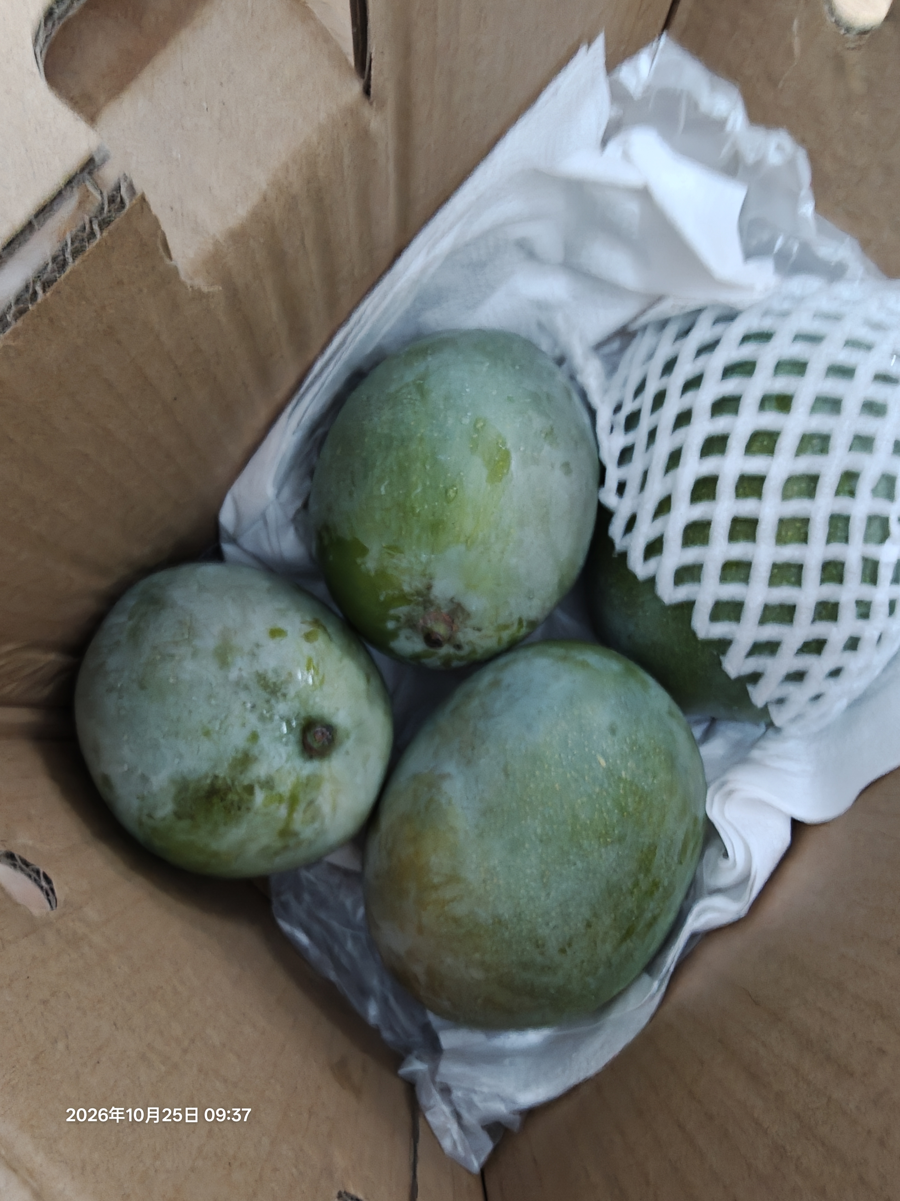 京鲜生 攀枝花【即食】凯特芒 净重5斤装 单果400g以上 生鲜水果 实拍图