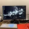 泰坦军团 24.5英寸310Hz高刷 HDR400广色域 硬件低蓝光 逐台校色FastIPS 原生280Hz电竞显示器P2510H Ultra 实拍图