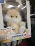 澳贝（auby）婴幼儿玩具宝宝早教唱跳躲猫猫安抚小兔毛绒玩偶生日新生儿见面礼 实拍图