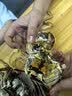 【活蟹】蟹宗现货鲜活大闸蟹全母3.5-3.8两8只生鲜螃蟹海鲜水产节日礼品礼盒源头直发 实拍图