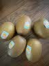 佳沛（zespri）新西兰金奇异果10粒巨大果146-175g猕猴桃水果礼盒 实拍图