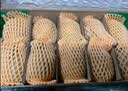 佳沛（zespri）新西兰金奇异果10个装单果重103-114g猕猴桃水果礼盒 实拍图