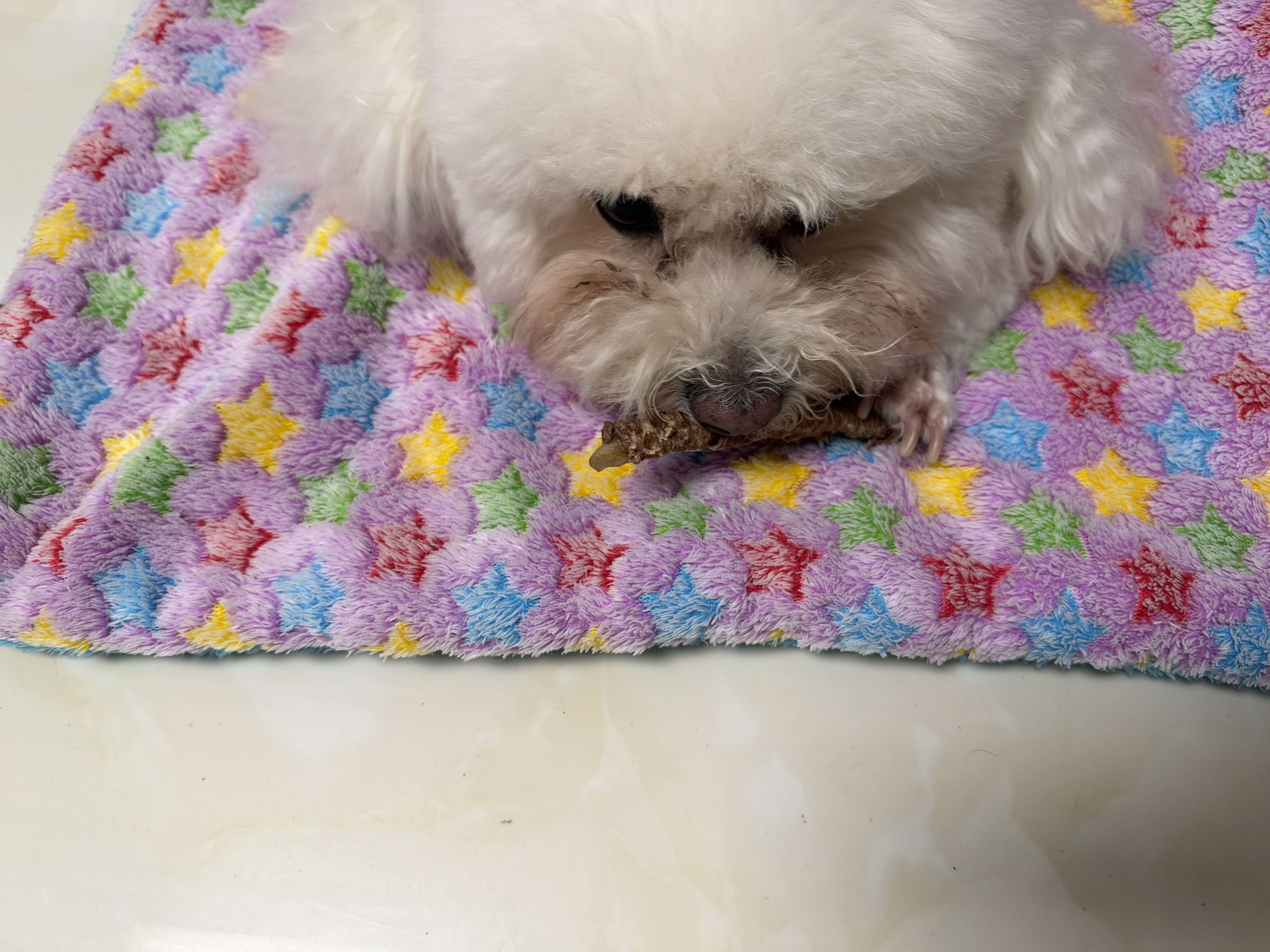 疯狂小狗狗零食泰迪金毛成犬幼犬耐咬磨牙棒 天然鸭肉原生牛皮卷100g*3 实拍图