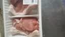 【180天白猪家庭装】冷鲜猪腿肉1kg 中秋送礼家宴宴请 实拍图