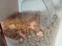 麦富迪猫粮 超肉粒冻干双拼成猫粮美毛护肠三文鱼10kg/20斤【宠物金选】 实拍图