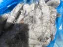 BOWO铂沃厄瓜多尔白虾 净重4斤100-120只/盒进口鲜活盐冻纯虾无包冰 实拍图
