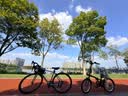 迪卡侬自行车T100折叠自行车折叠便携实用城市通勤单车20寸-2430961 实拍图