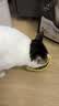 网易严选全价冻干双拼猫粮3.0 猫干粮成猫幼猫通用高鲜肉粮 自营金选1.8kg 实拍图