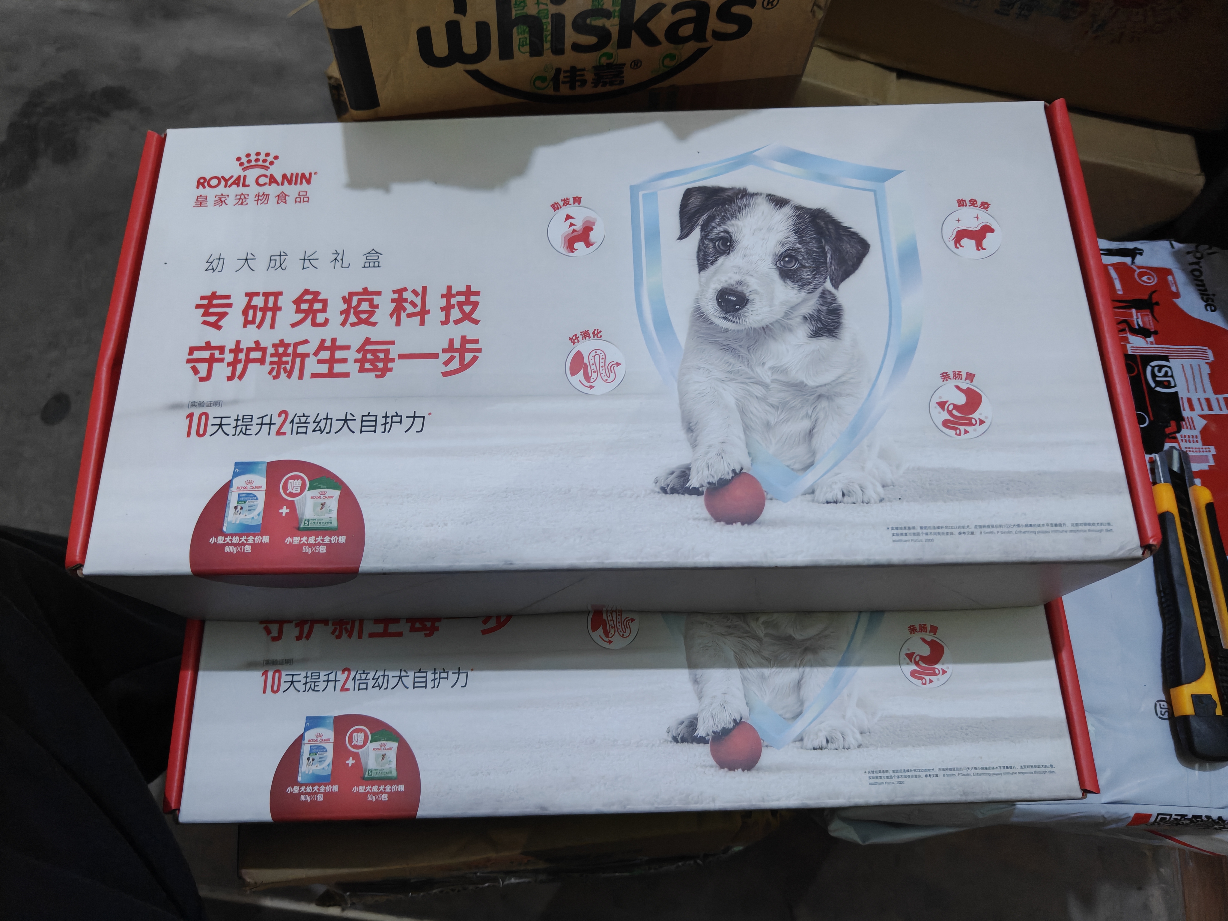 皇家狗粮幼犬成长礼盒（幼犬粮 800g+成犬粮 50g*5）小型犬 泰迪 贵宾 实拍图