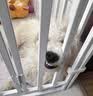 汪爸爸小型犬天然狗粮泰迪贵宾比熊雪纳瑞通用粮经典鸡肉配方囤货装 小型犬幼犬粮5斤【鸡肉&鱼肉】 实拍图
