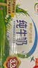 伊利【新鲜日期】纯牛奶250ml*21盒 3.3g优质乳蛋白早餐奶8-10月产 实拍图