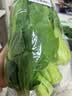 上海青约500g(油菜) 实拍图