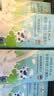 Member's Mark 德国进口 全脂牛奶(灭菌乳)纯牛奶 200mL*30 200mL*30盒 实拍图