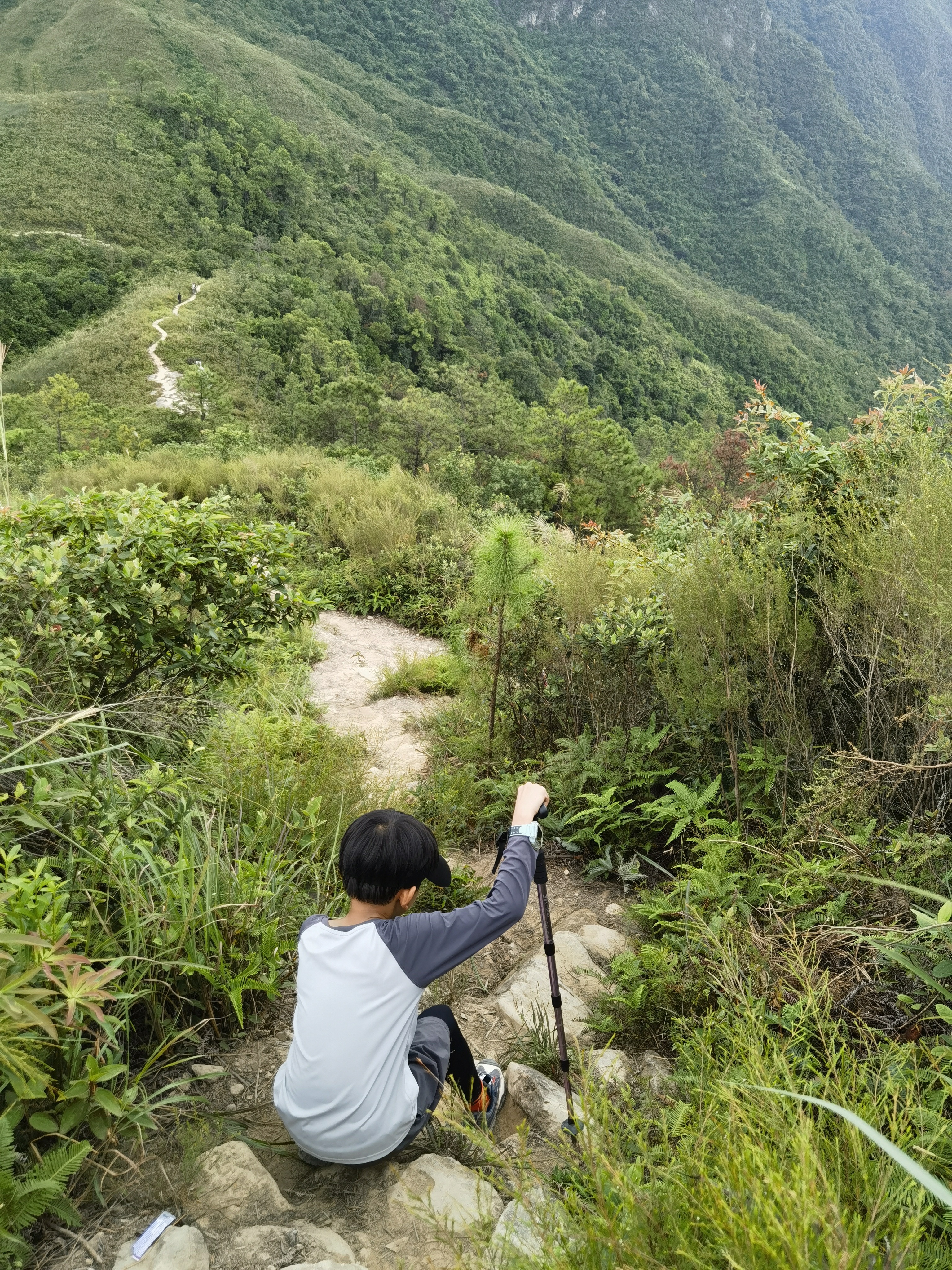 骆驼（CAMEL）【清风】登山杖户外徒步爬山轻便携伸缩登山装备铝合金拐杖 实拍图