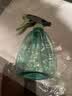 喷壶浇花浇水喷雾器气压式喷水壶家用园艺养花500ml 南瓜喷壶透蓝【1个装】 实拍图