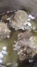 恒都【国产谷饲300天】原切金钱腱 2斤 筋弹肉嫩 肉质纯粹 久炖鲜香 实拍图