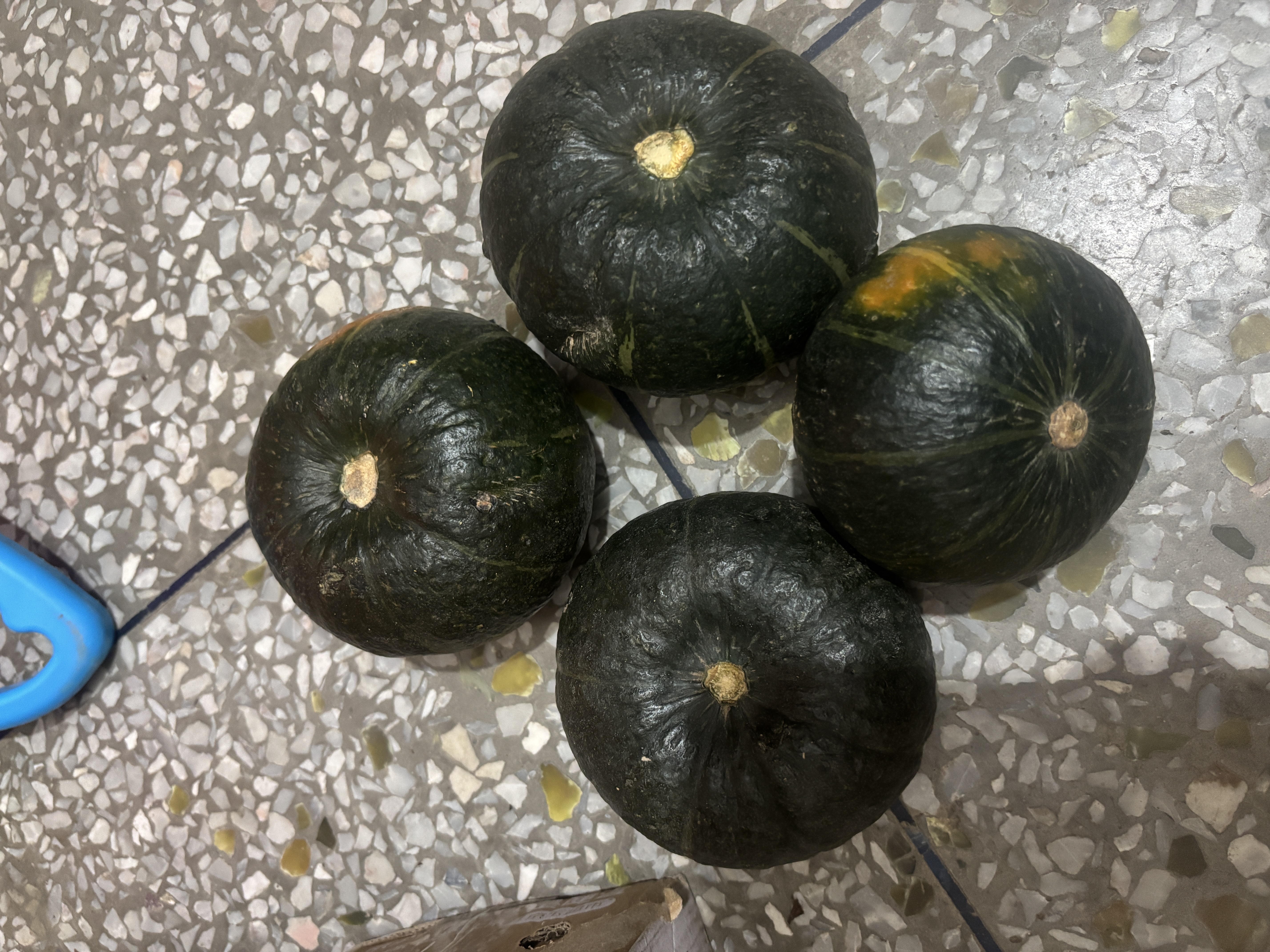 京鲜生 山东贝贝南瓜 净重3斤 单果300g+粉糯蔬菜辅食源头直发 实拍图