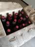 乌苏啤酒（wusu）大红乌苏620mL*12瓶 整箱装 烈性啤酒 聚会宴请京东自营 实拍图