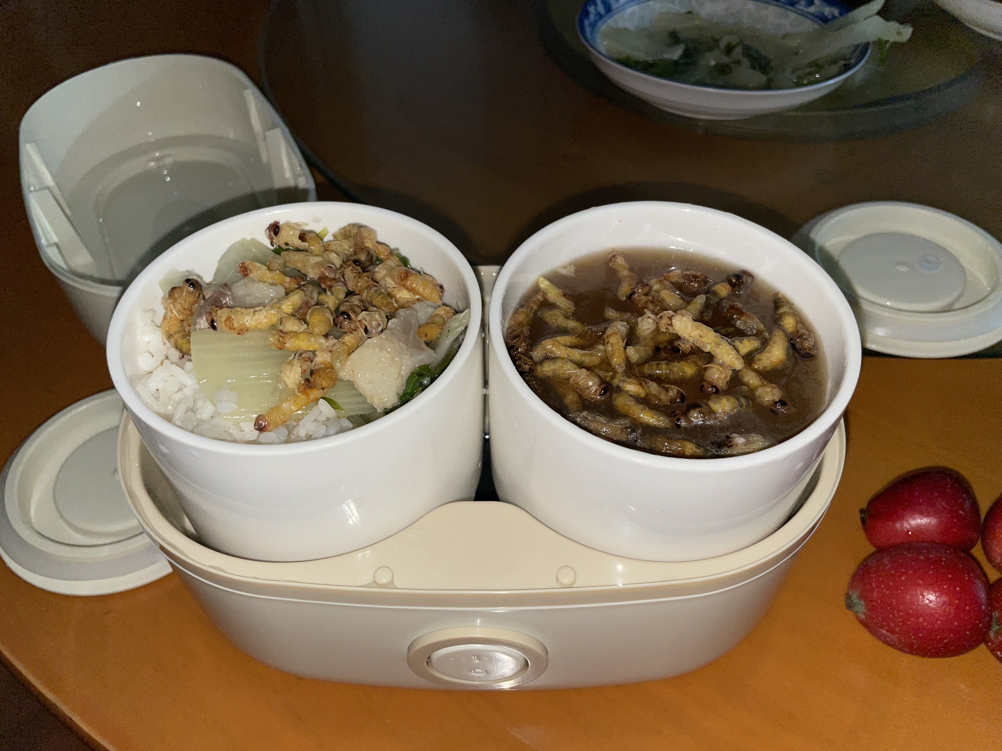 生活元素（LIFE ELEMENT）插电式电热饭盒 便携式保温加热饭盒陶瓷内胆 便当盒热饭神器 1L双胆 F88 实拍图