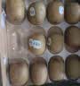 佳沛（zespri）绿奇异果 优选大果12粒单果约115-135g  水果 猕猴桃 实拍图