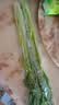 大芹菜约500g 实拍图