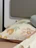 皇冠枕头枕芯护颈椎枕深度睡觉眠午睡枕套女男士专用不塌酒店一对拍2 实拍图