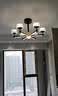 雷士（NVC）欧美轻奢水晶玻璃语音智能吊灯客厅吊灯餐厅灯灯具WHXD120F/G-01 实拍图