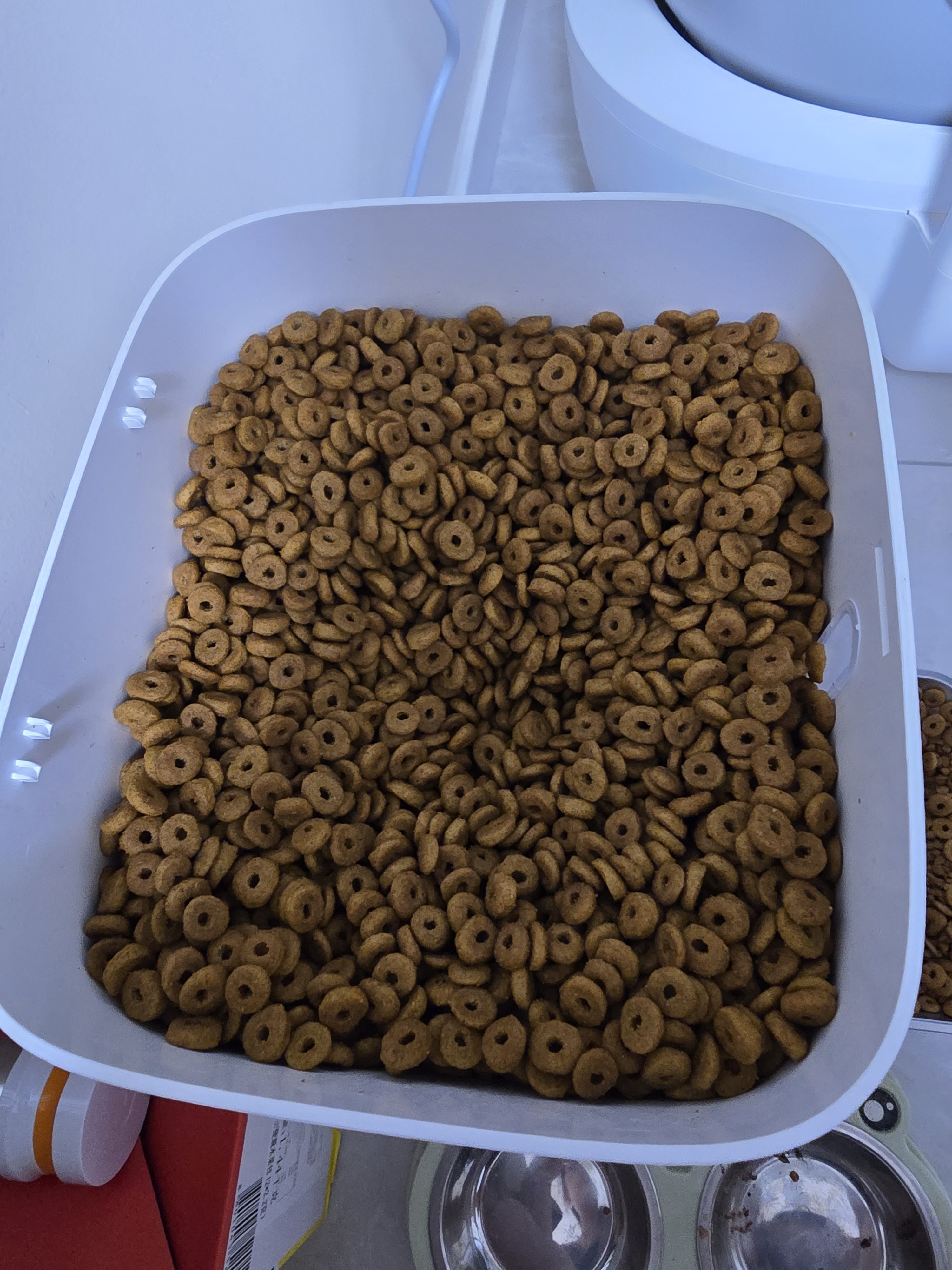 皇家猫粮 成猫猫粮 营养均衡 F32 通用粮 1-7岁 2KG 实拍图