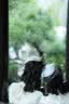 适马（SIGMA）56mm F1.4 DC DN｜Contemporary 半画幅大光圈定焦镜头 人像特写（适马56 f1.4索尼E卡口） 实拍图