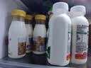 每日鲜语鲜牛奶 A2β-酪蛋白鲜牛奶185ml*6 巴氏杀菌乳 低温鲜奶 实拍图