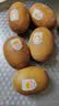 佳沛（zespri）新西兰金奇异果猕猴桃 5粒装 单果约88-103g 水果源头直发 实拍图