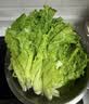 【烧烤季】钟灵山罗马生菜400g 实拍图