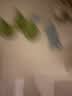 润本电蚊香液驱蚊液90晚大容量30ml×3瓶+1器电蚊香植物定时款 实拍图