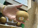 佳沛（zespri）新西兰金奇异果10粒巨大果146-175g猕猴桃水果礼盒 实拍图