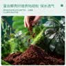 史丹利椰糠砖650g*3 椰土砖椰砖营养土脱盐花土耶砖种菜通用型 实拍图