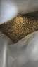 醇粹金标冻干猫粮全价鸡肉鱼肉猫粮营养均衡呵护肠胃 5kg【宠物金选】 实拍图