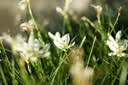 适马（SIGMA）56mm F1.4 DC DN｜Contemporary 半画幅 大光圈定焦镜头 人像肖像特写（尼康Z卡口） 实拍图